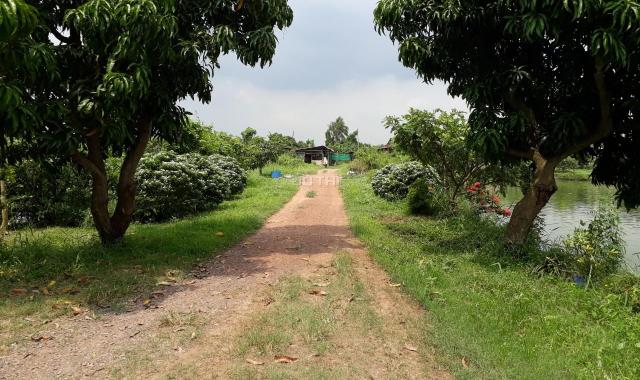 Bán nhà vườn xã Tân An, Vĩnh Cửu, Đồng Nai. Tại đường Cộ - Cây Xoài gần KCN Sông Mây