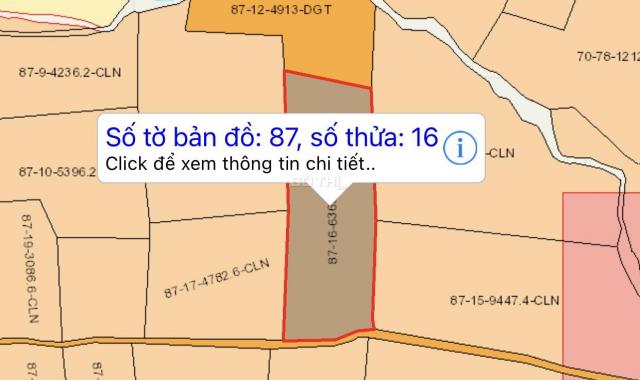 Bán đất vườn điều tại Thọ Lộc, Xuân Lộc, Đồng Nai, DT 11.000m2, giá bán nhanh 300tr/sào, sổ đỏ