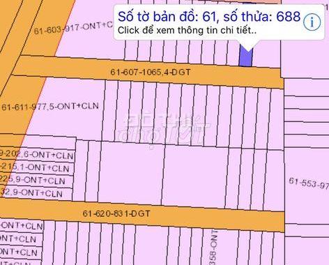 Bán đất tại Xã An Phước, Long Thành, Đồng Nai diện tích 125m2 giá 2,25 tỷ sau công viên LT