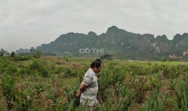 Cần sang nhượng 3.566m2 đất thổ cư view tuyệt đẹp tại Lương Sơn, Hòa Bình