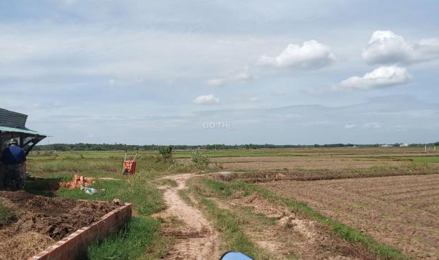 Đất lập vườn 5 công 2 ở huyện Gò Dầu Tây Ninh giá chỉ 750 triệu