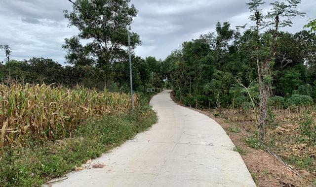 Đất vườn điều tại Thọ Lộc, Xuân Lộc, Đồng Nai, DT 3540m2, đường bê tông lớn, giá bán nhanh 1,8 tỷ
