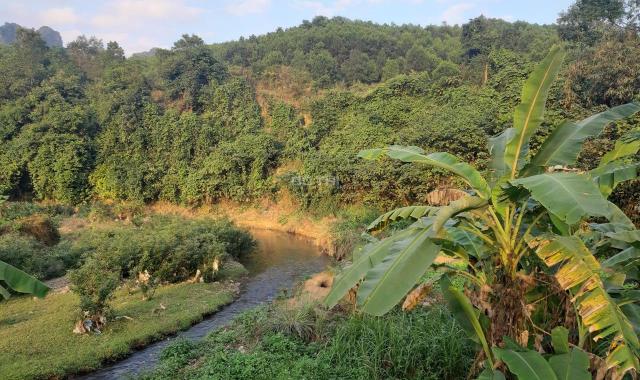 Cần bán gấp 6ha đất Lương Sơn, đường 5m có nhiều ao, giao thông thuận tiện, giá rẻ nhất khu vực