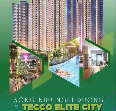 Bán căn hộ chung cư tại dự án Tecco Elite City, Thái Nguyên, Thái Nguyên diện tích 82m2