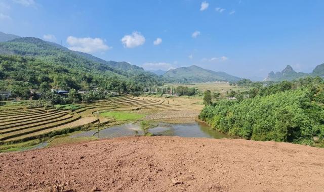 Chính chủ cần bán 21.700m2 có 1000m2 đất thổ cư tại Kim Bôi, Hòa Bình