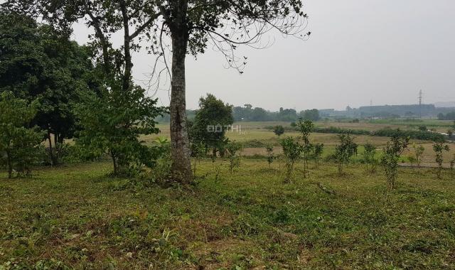 Bán siêu phẩm đất nghỉ dưỡng tuyệt đẹp tại Lương Sơn, Hòa Bình diện tích 3.104m2