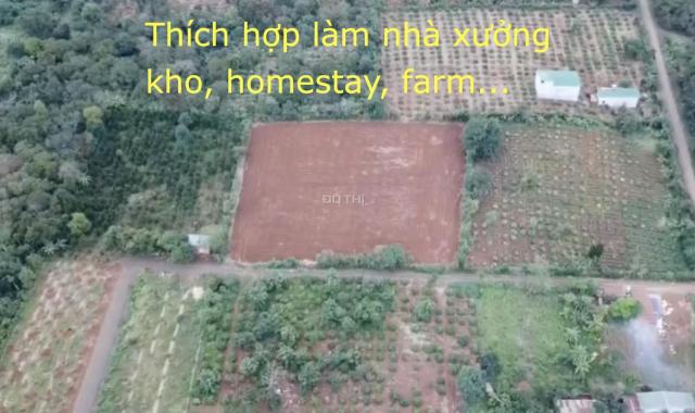 Chính chủ bán lô đất lớn tại TP. Buôn Ma Thuột - thích hợp làm farm, kho, xưởng, homestay