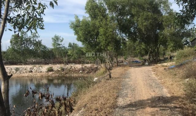 Bán đất 2 mẫu 6 Hàm Tân Bình Thuận. Giá 6 tỷ 500 tr