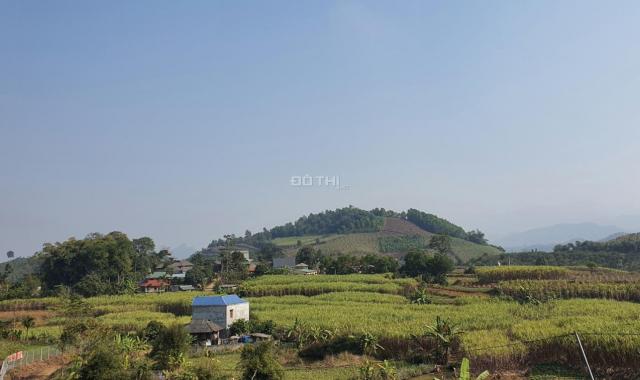 Bán trang trại đất thổ cư chính chủ tại Cao Phong - Hòa Bình