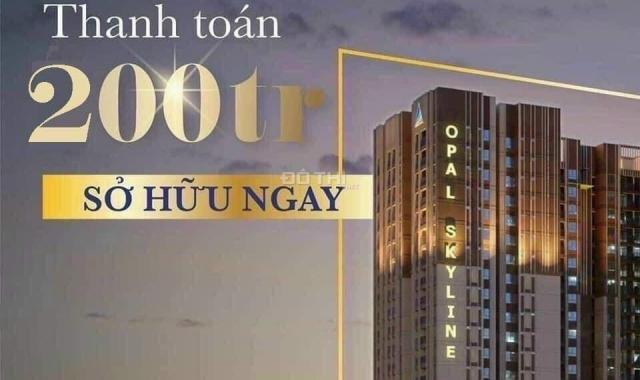 Sức Hút Không Thể Chối Từ 