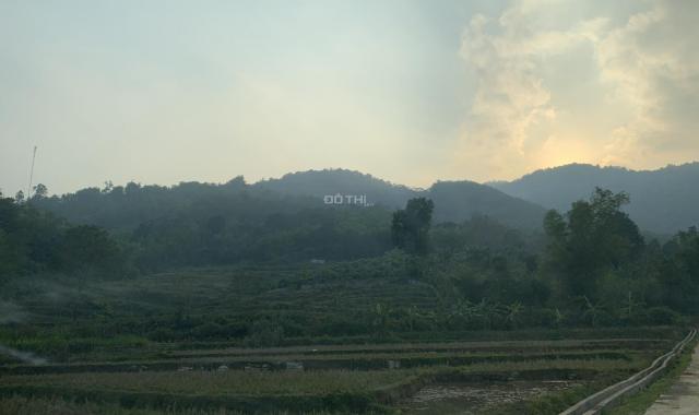 Bán mảnh đất 8000m2 có 900m2 thổ cư đất tại Kim Bôi