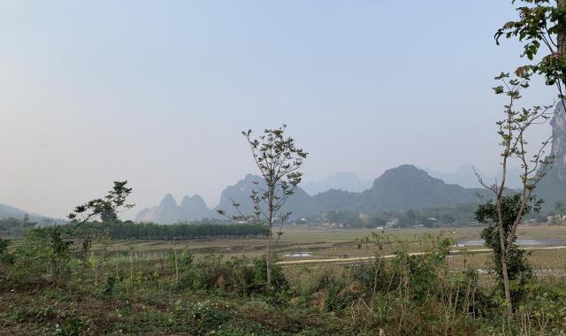 Bán mảnh đất 8000m2 có 900m2 thổ cư đất tại Kim Bôi