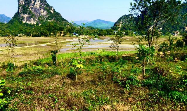 Bán 8000m2 đất Kim Bôi, Hoà Bình có 980m2 đất thổ cư đẹp view núi - chính chủ giá 1,1 tỷ
