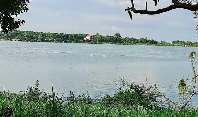 Bán gấp 6000m2 đất bám hồ lớn nhất ở Lương Sơn, Hòa Bình giá chỉ hơn 700 nghìn/m2
