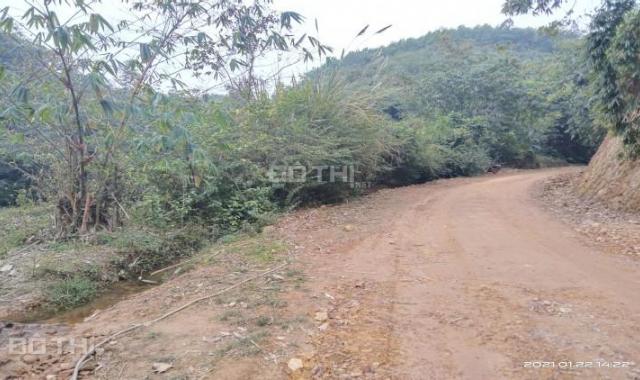 Bán gấp 2,3ha đất rừng sản xuất, thực tế hơn 3ha tại Cao Sơn, Lương Sơn