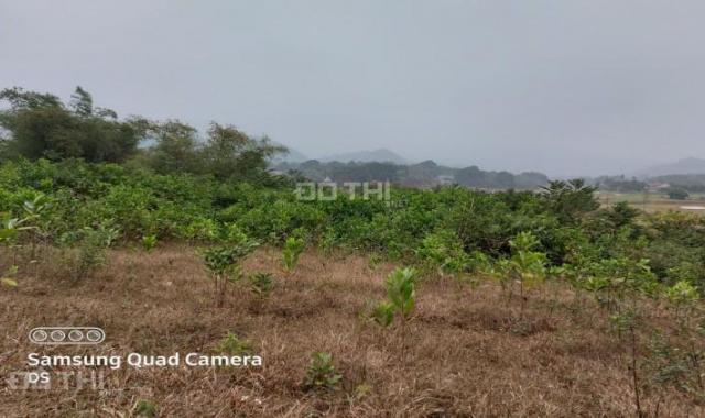 Bán đất Lương Sơn gần 2800m2 view cánh đồng, gần sân golf giao thông thuận tiện giá chỉ hơn 1 tr/m2
