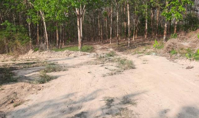 Chính chủ cần bán đất mặt tiền tại huyện Định Quán - tỉnh Đồng Nai