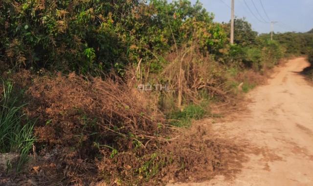 Chính chủ cần bán đất mặt tiền tại huyện Định Quán - tỉnh Đồng Nai