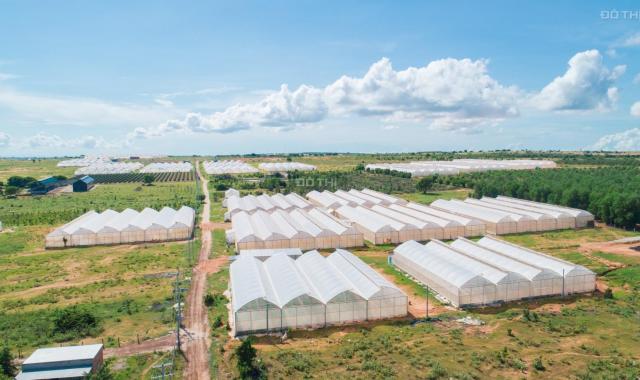 Bán đất nông nghiệp huyện Bắc Bình, Bình Thuận diện tích 5822m2 giá 523 triệu