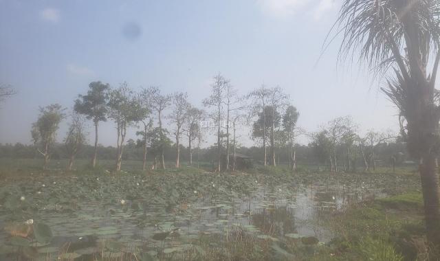 Bán 6 sào đất vườn Hàng Gòn, TP Long Khánh giá ngộp