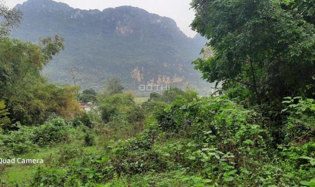 Đất Lương Sơn 2,4ha phong cảnh hữu tình, đường ô tô vào tận đất giá chỉ hơn 2 tỷ