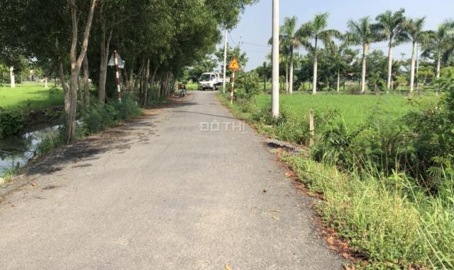 Bán đất 2 mặt tiền đường Võ Văn Thu, Xã Hưng Long, Huyện Bình Chánh DT 70x45m