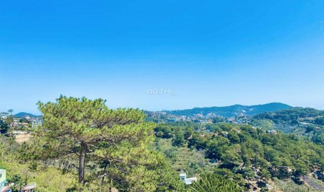 Bán đất Đống Đa ngay cổng resort Osaka, và đất 3/4 view rừng thông Phường 3, Đà Lạt