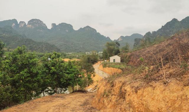 Cơ hội sở hữu ngay 37000m2 đất phù hợp làm trang trại nghỉ dưỡng tại Lương Sơn, Hòa Bình