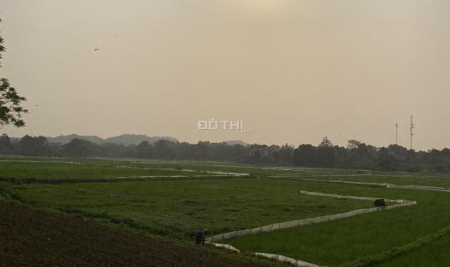 Chính chủ gửi bán lô đất 656m2 view cánh đồng đẹp tại Cổ Đông