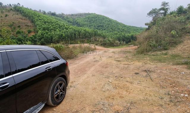 Cơ hội sở hữu cho các nhà đầu tư 30ha đất rừng sản xuất rẻ đẹp tại Kỳ Sơn, Hòa Bình