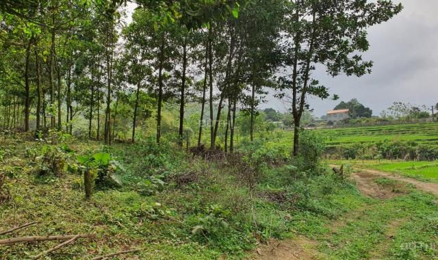 Bán đất Lương Sơn diện tích 2.3ha view cánh đồng