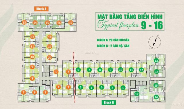 Tổng hợp những căn sang nhượng Ricca giá tốt nhất. Từ 1.7 tỷ/căn (VAT + chênh lệch)