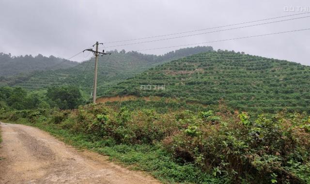 Bán 17ha đất nghỉ dưỡng đầu tư siêu đẹp tại xã Cao Sơn, Lương Sơn