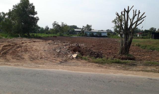 Bán đất sổ hồng riêng xã Trung Lập Thượng, Củ Chi diện tích 1,23 ha