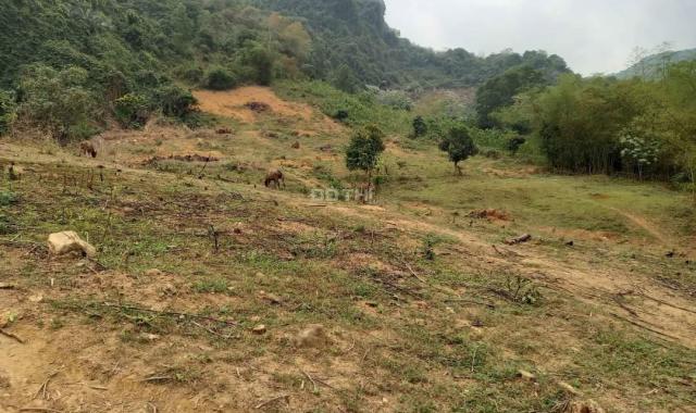 Chuyển nhượng 5 ha đất thổ cư tại huyện Kỳ Sơn, Tỉnh Hòa Bình