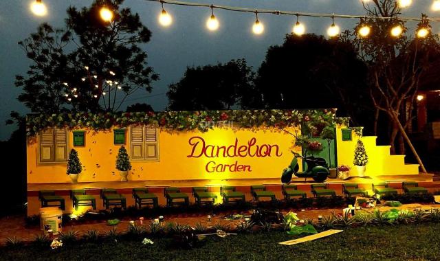 Chuyển nhượng một bức tranh thiên nhiên có tên gọi Dandelion Garden