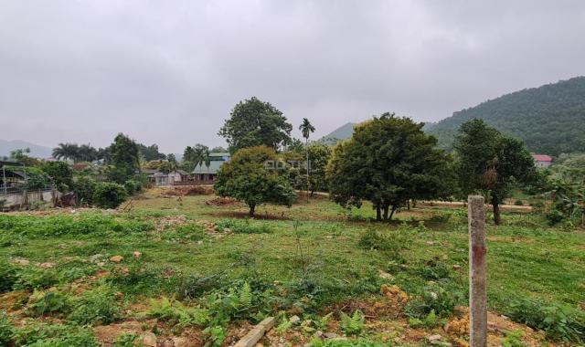 Bán đất xã Yên Bình, Thạch Thất, Hà Nội, diện tích 2648m2, 2 mặt đường, gần trục chính
