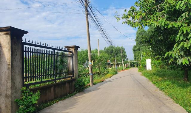 Bán đất sau UBND Giang Điền, Bình Minh, Trảng Bom, Đồng Nai diện tích 120m2 giá TT 450 triệu