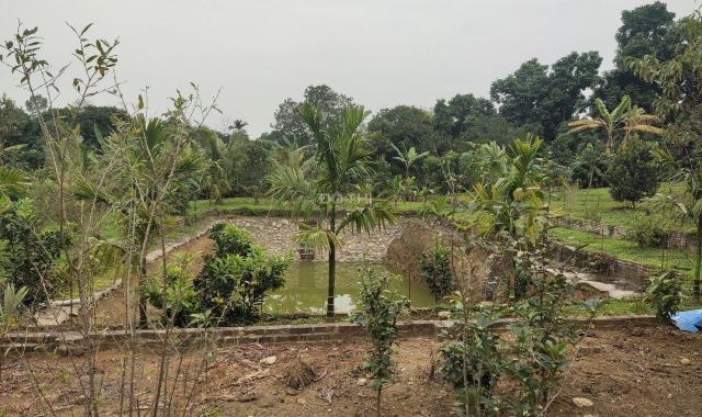 Cần nhượng gấp 3.630m2 đất làm nhà vườn nghỉ dưỡng tại thị trấn Lương Sơn, Hòa Bình