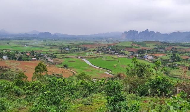 Siêu phẩm hơn 3,6ha đất rsx giá cực sốc tại Nam Phong, Cao Phong, Hoà Bình