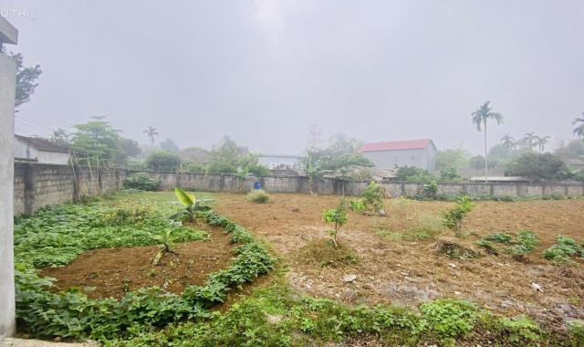 Cần bán nhanh 1762m2 đất thổ cư đẹp giá rẻ tại Cư Yên, Lương Sơn, Hòa Bình