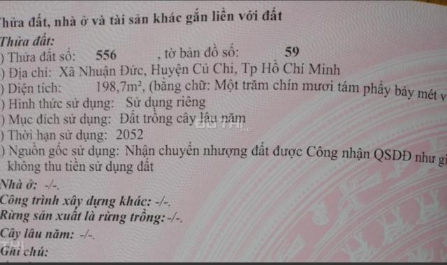 Cần vốn mở nhà hàng sang gấp 198.7m2 thổ cư (12.9m x 15m), sổ hồng riêng, xã Nhuận Đức, H. Củ Chi