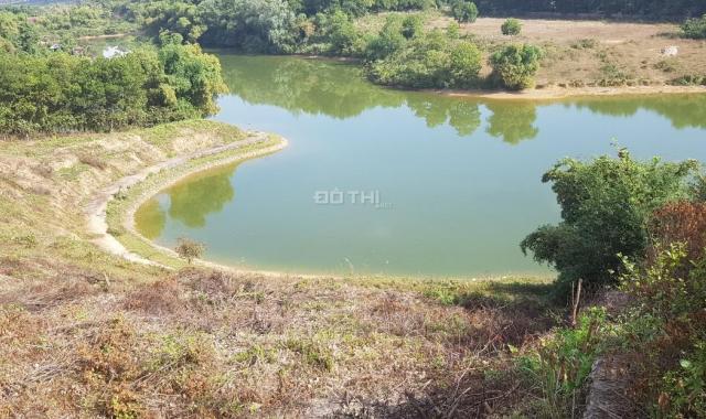 Chính chủ bán lô đất 6479m2 bám hồ Đập Đom tại Cư Yên, Lương Sơn, Hòa Bình