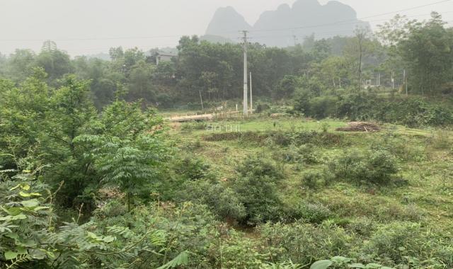 Bán homestay Lương Sơn hơn 3000m2 bám suối, sẵn kinh doanh