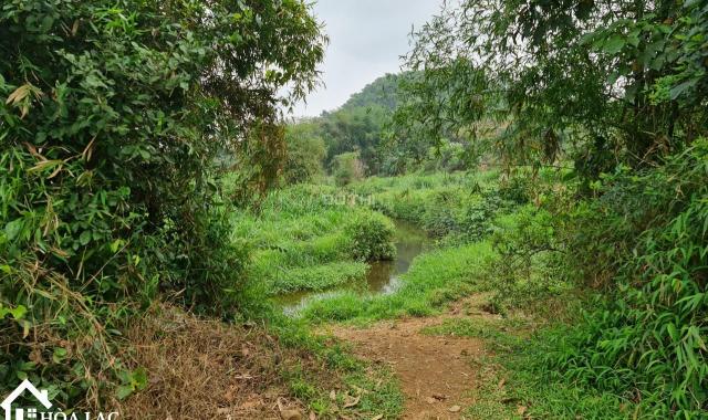 Vân Hòa Ba Vì - Tuyệt phẩm nghỉ dưỡng, bám cánh đồng, view hồ điều hòa