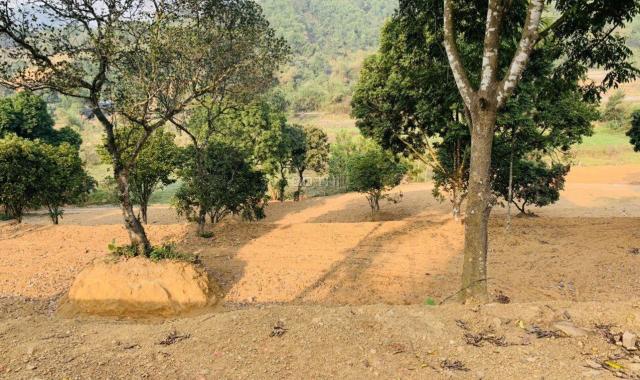 Cần bán 6296m2 đất nằm đối diện dự án du lịch sinh thái của tập đoàn Apec Group tại Lương Sơn