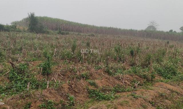 Cần bán nhanh đất nghỉ dưỡng tại Cao Phong full thổ cư giá chỉ hơn 500 nghìn/m2
