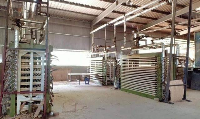 Ngân hàng phát mại nhà xưởng và thiết bị máy móc tại huyện Tân Sơn, Phú Thọ giá cực rẻ