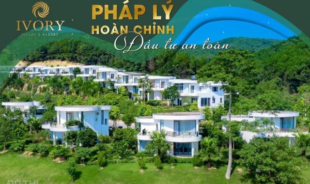 Dự án Ivory Hoà Bình - Chính sách bán hàng mới nhất từ CĐT