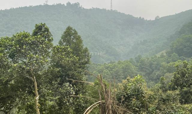 Bán đất nhà vườn trung tâm thị trấn Lương Sơn, 2000m2, hơn 1 triệu/m2
